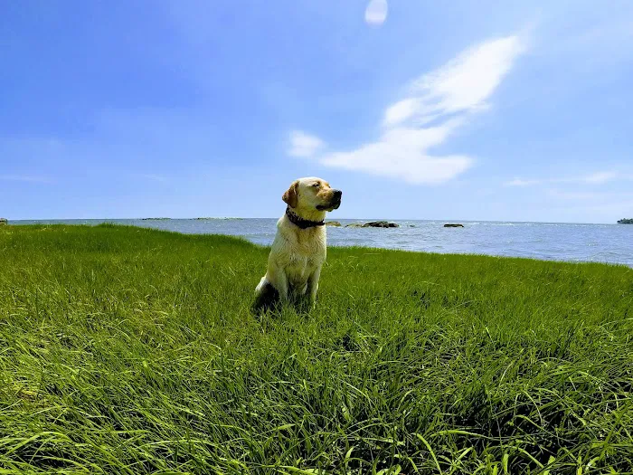 Pond Point Animal Hospital Picture 7