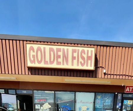 Golden Fish Aquariums