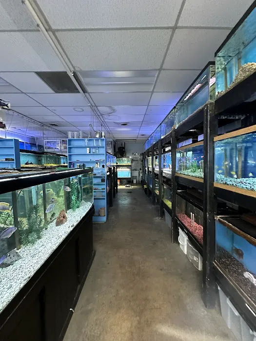 Golden Fish Aquariums Picture 10