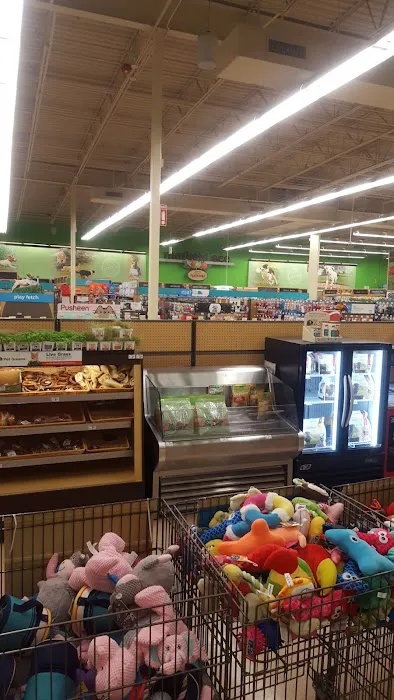 Petco Picture 1