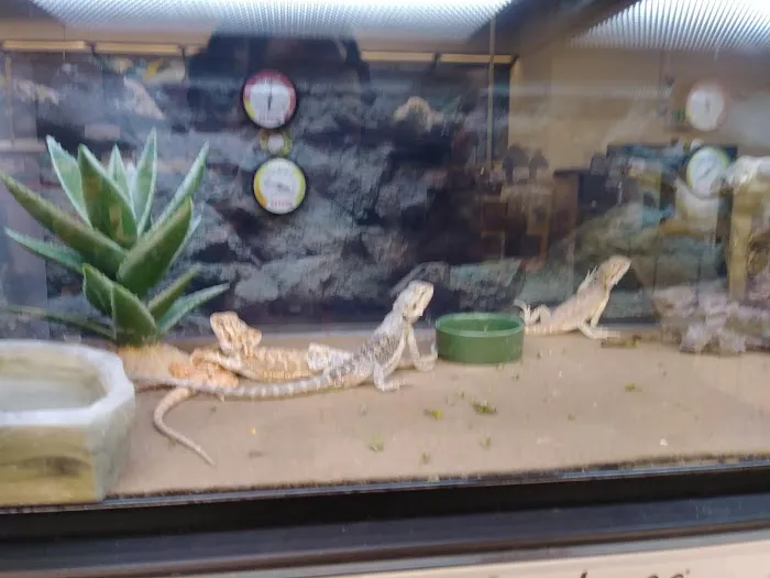 Petco Picture 9