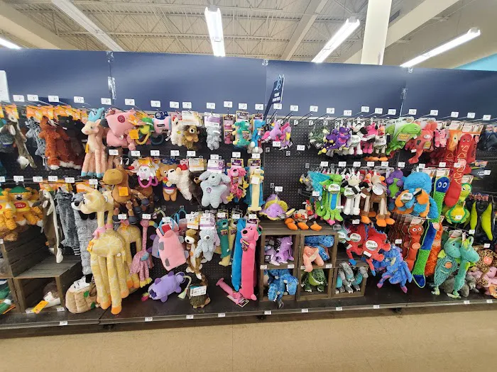 Petco Picture 5