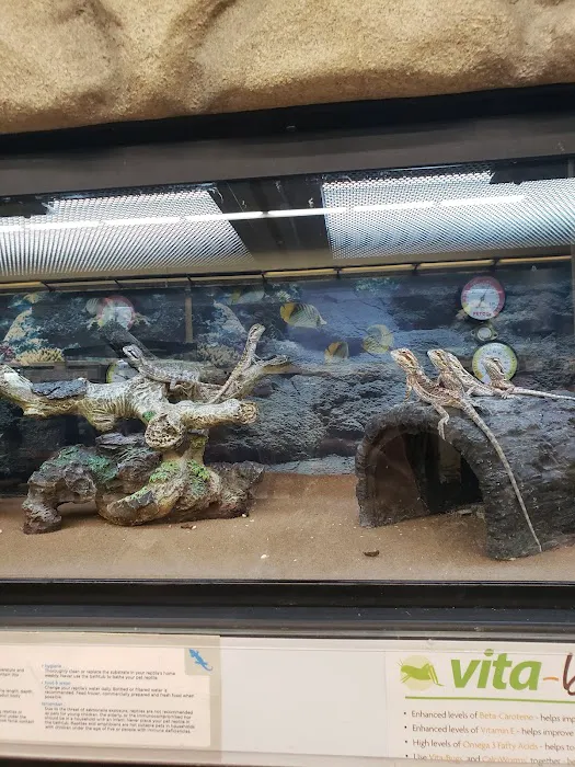 Petco Picture 2