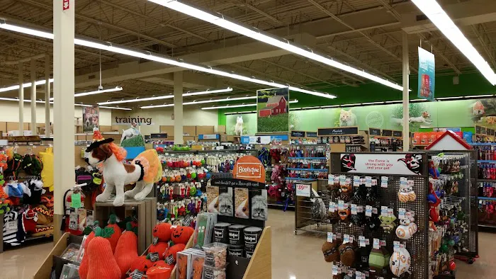 Petco Picture 7
