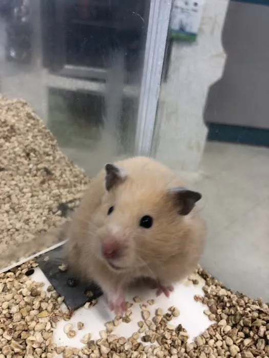 Pet World Picture 5