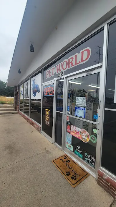Pet World Picture 4