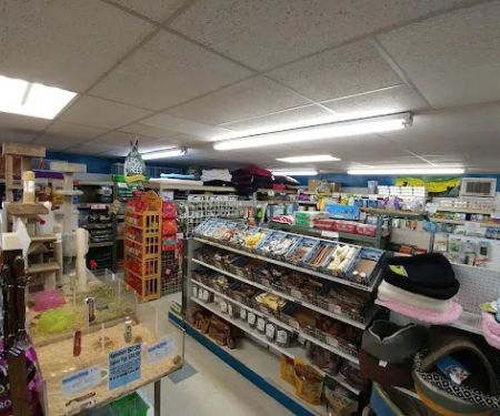 Pet World