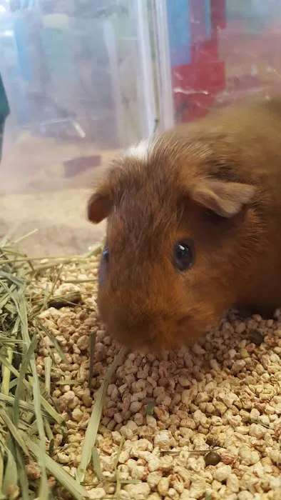 Pet World Picture 3