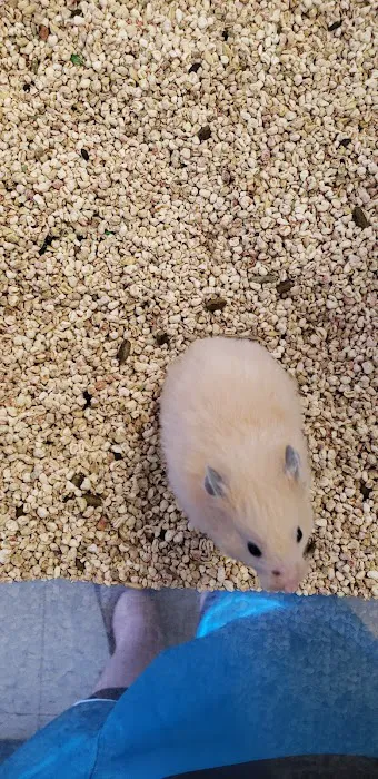 Pet World Picture 9