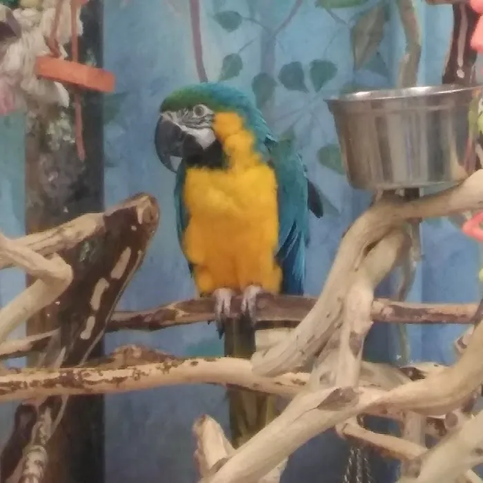 Pet World Picture 10