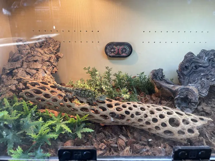 Scales N Tails Lakewood Picture 9