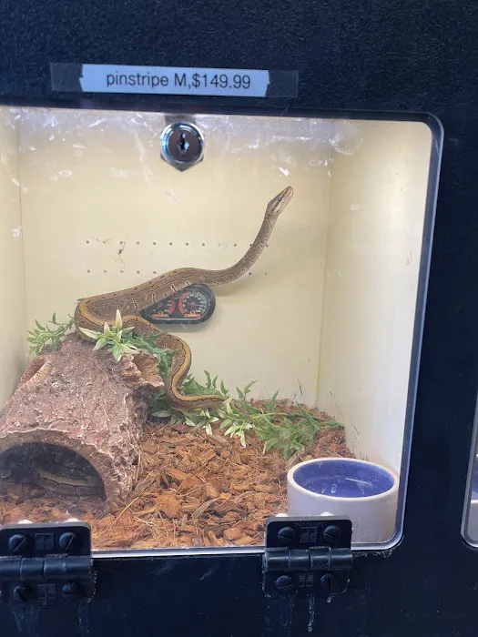 Scales N Tails Lakewood Picture 2