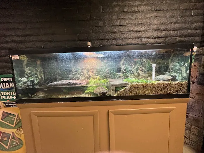 Scales N Tails Lakewood Picture 5