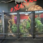 Scales N Tails Lakewood