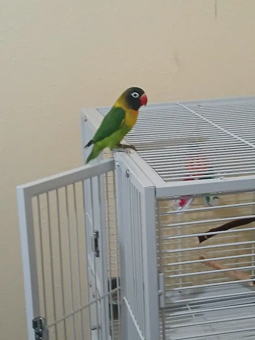 World Of Birds Picture 2