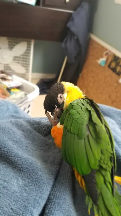 World Of Birds Picture 8