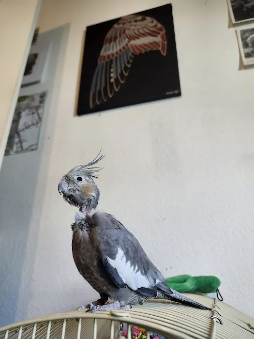 World Of Birds Picture 4