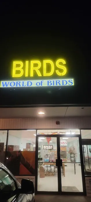 World Of Birds Picture 1