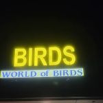 World Of Birds