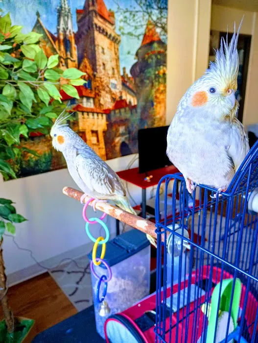 World Of Birds Picture 9