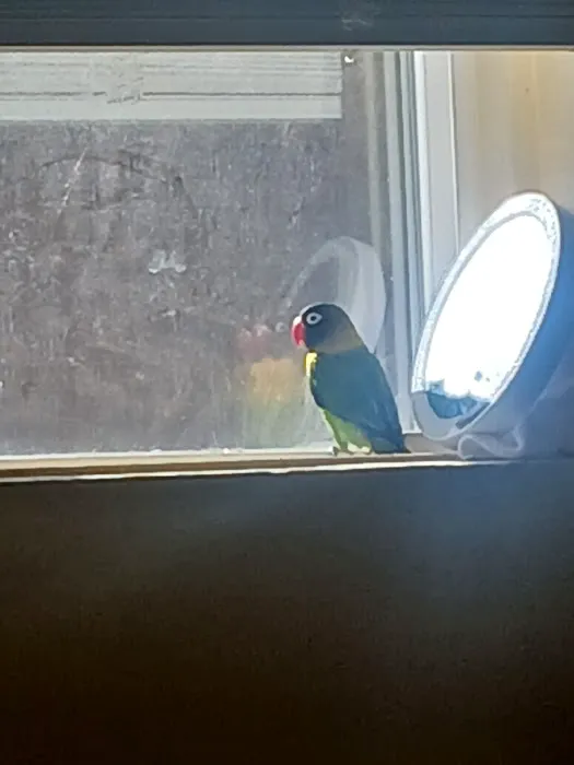 World Of Birds Picture 3