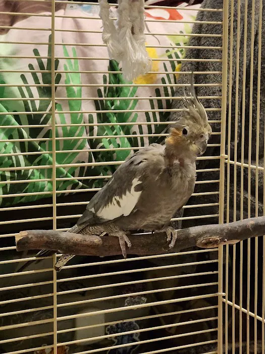 World Of Birds Picture 5