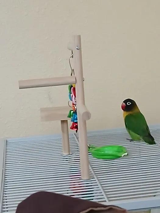 World Of Birds Picture 7