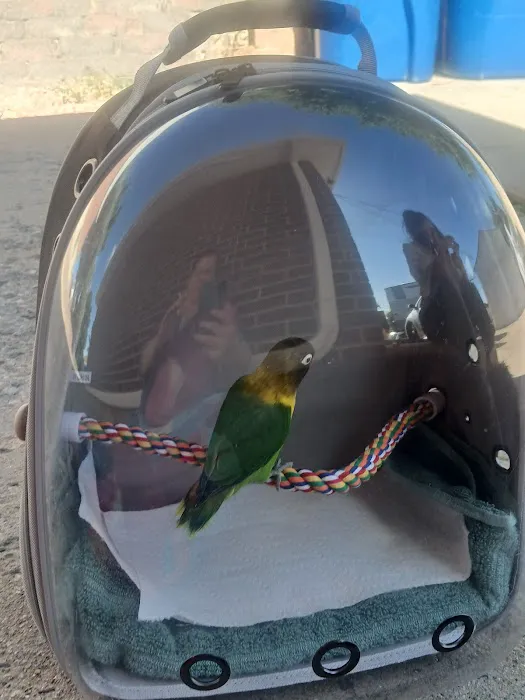 World Of Birds Picture 6