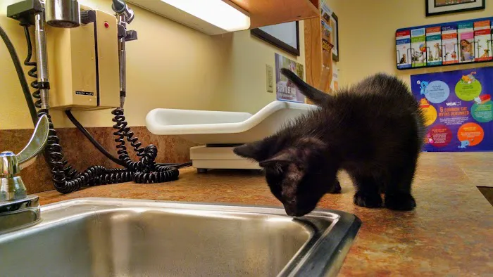 VCA Baybrook Animal Hospital Picture 4