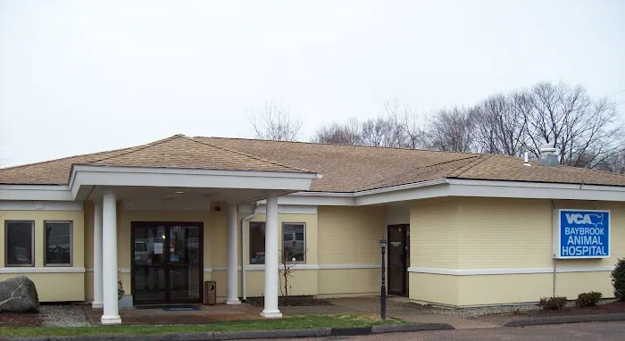 VCA Baybrook Animal Hospital Picture 2