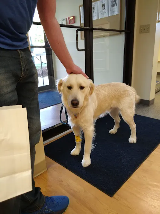 VCA Baybrook Animal Hospital Picture 9