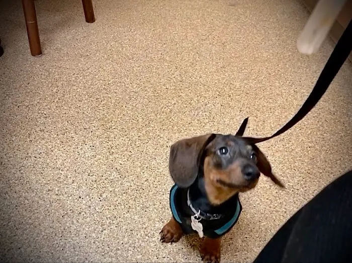 VCA Baybrook Animal Hospital Picture 7