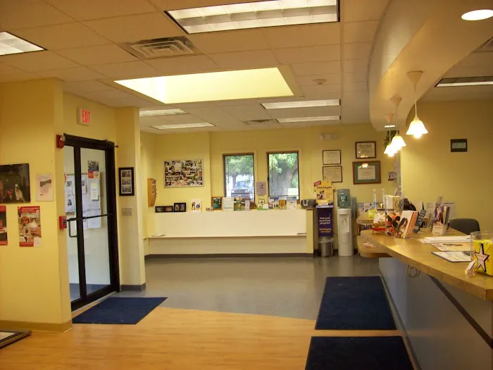 VCA Baybrook Animal Hospital Picture 1