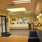 VCA Baybrook Animal Hospital