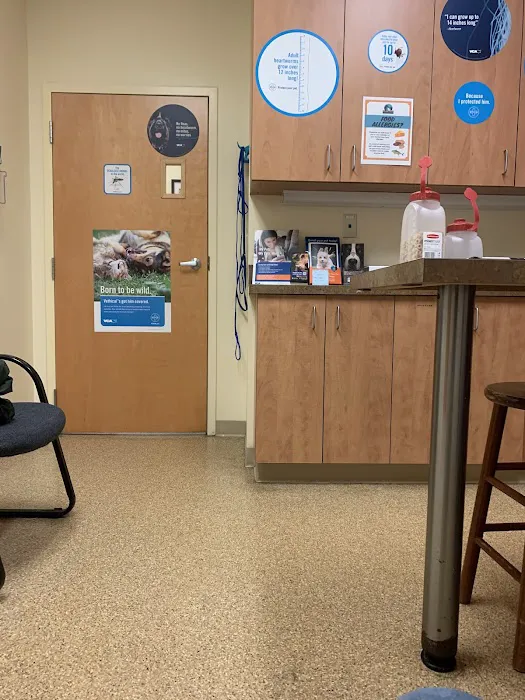 VCA Baybrook Animal Hospital Picture 6