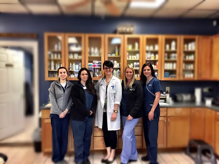 VCA Foxon Animal Hospital Picture 4