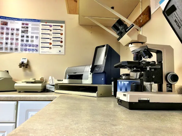 VCA Foxon Animal Hospital Picture 1