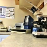VCA Foxon Animal Hospital