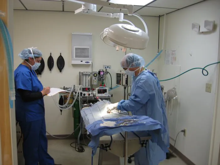 VCA Foxon Animal Hospital Picture 8