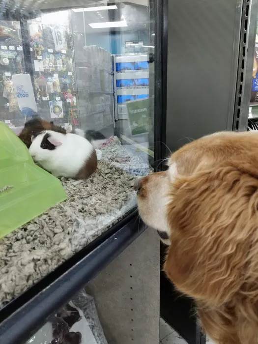Petco Picture 3