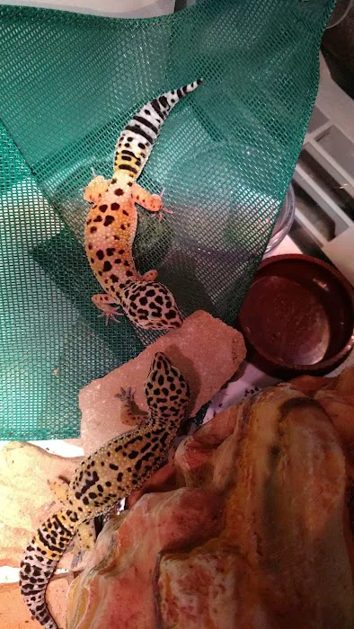 Petco Picture 4
