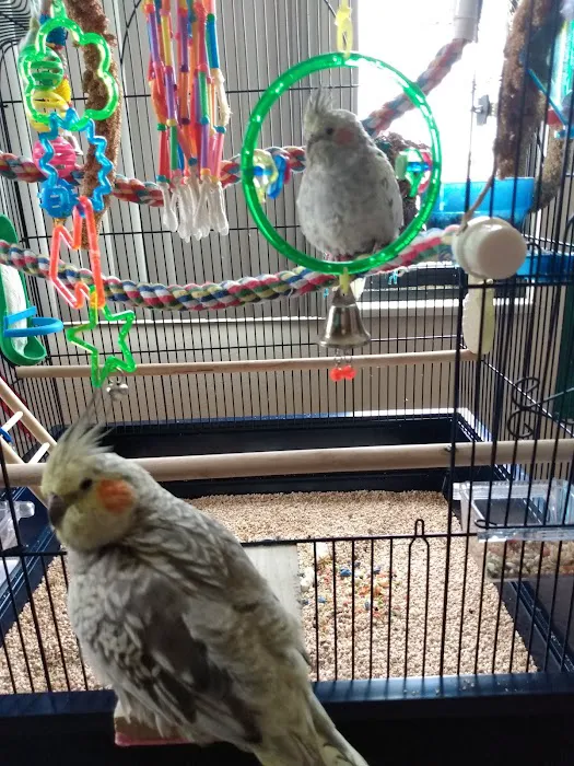 Petco Picture 9