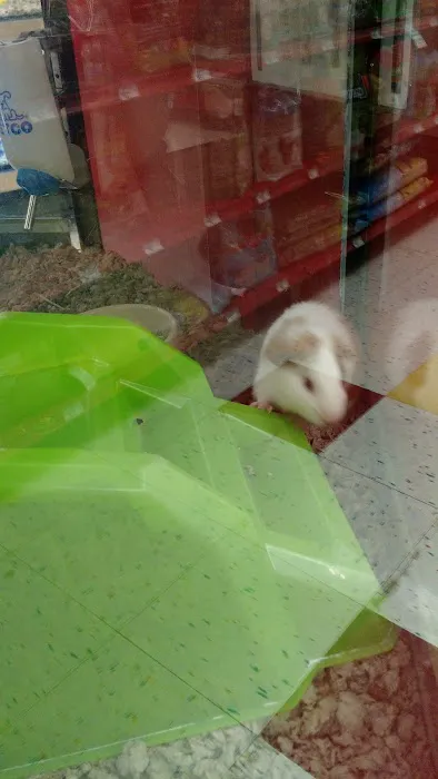 Petco Picture 6