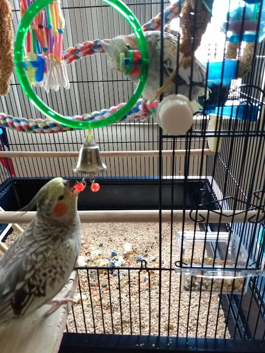 Petco Picture 10