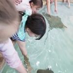 Kingfish Aquarium Services