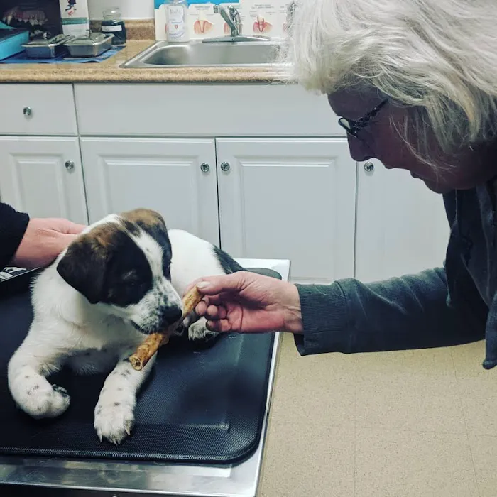 Northford Veterinary Clinic Picture 3