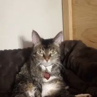 Chuck & Don's Pet Food & Supplies ico