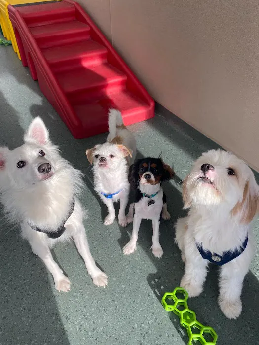 Shore Haven Veterinary Hospital Picture 4