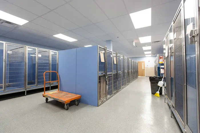 Shore Haven Veterinary Hospital Picture 3