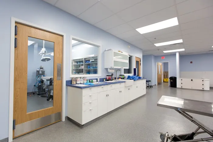 Shore Haven Veterinary Hospital Picture 5